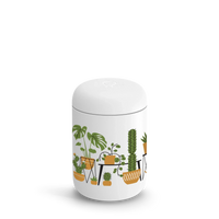 House Plants