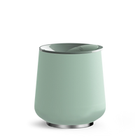 Mint Chip