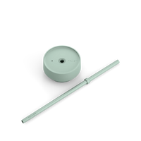 Mint Chip
